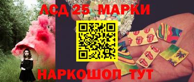 2c-b Кингисепп