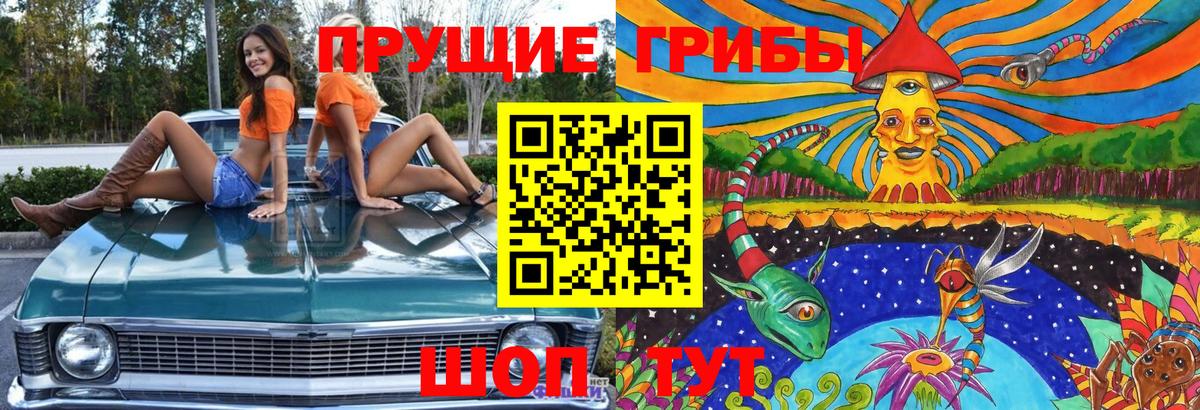Кимры  Псилоцибиновые грибы Psilocybine cubensis  Вход с VPN 
